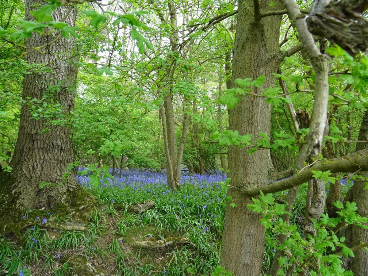 Oakwrights Apartment Terling Luaran gambar